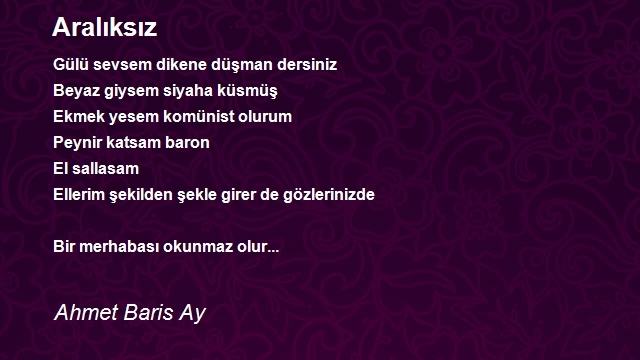 Ahmet Baris Ay