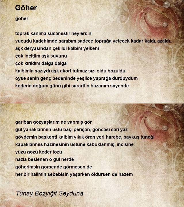 Tunay Bozyiğit Seyduna