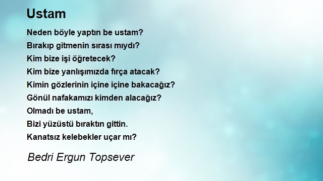 Bedri Ergun Topsever