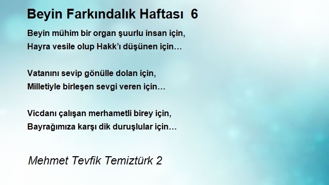 Mehmet Tevfik Temiztürk 2