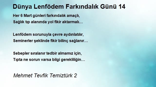 Mehmet Tevfik Temiztürk 2