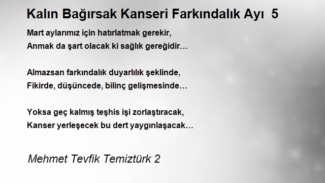 Mehmet Tevfik Temiztürk 2