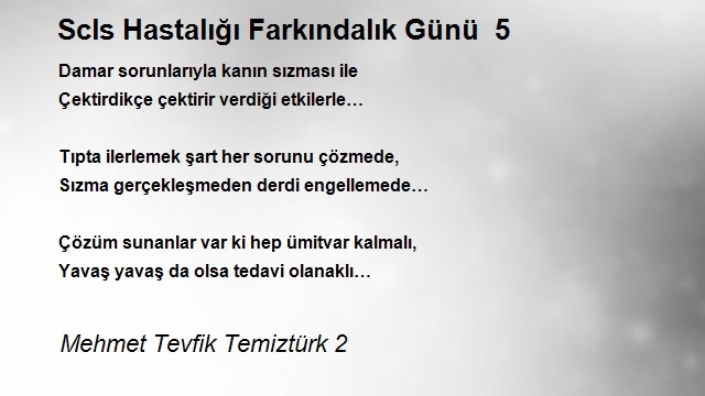 Mehmet Tevfik Temiztürk 2