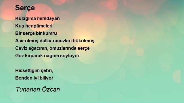 Tunahan Özcan