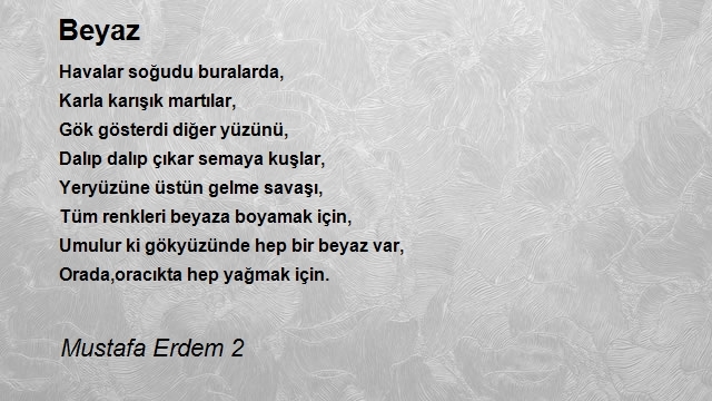 Erdem Mustafa