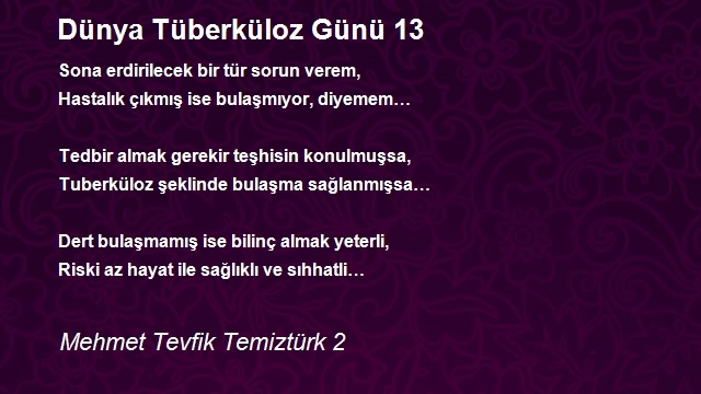 Mehmet Tevfik Temiztürk 2