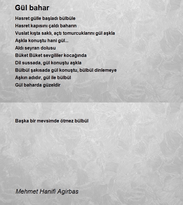 Mehmet Hanifi Agirbas