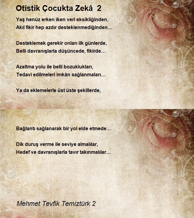 Mehmet Tevfik Temiztürk 2