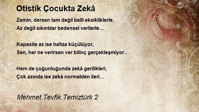 Mehmet Tevfik Temiztürk 2