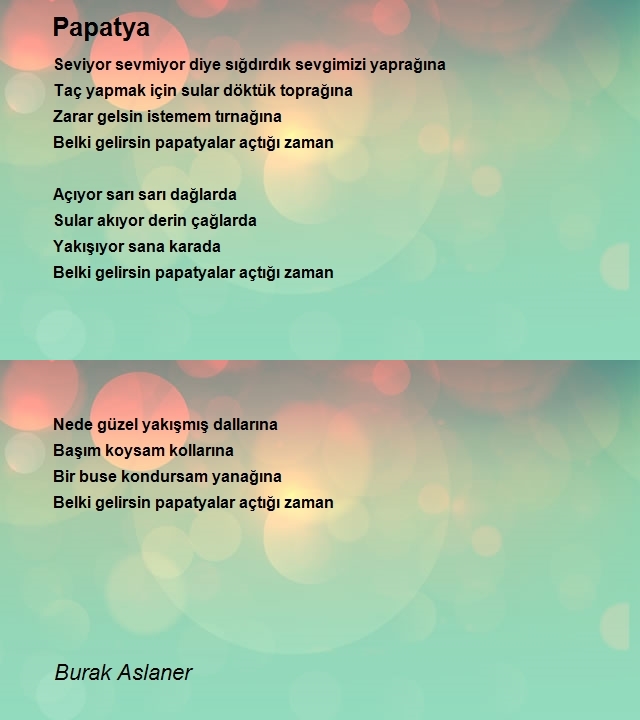 Burak Aslaner