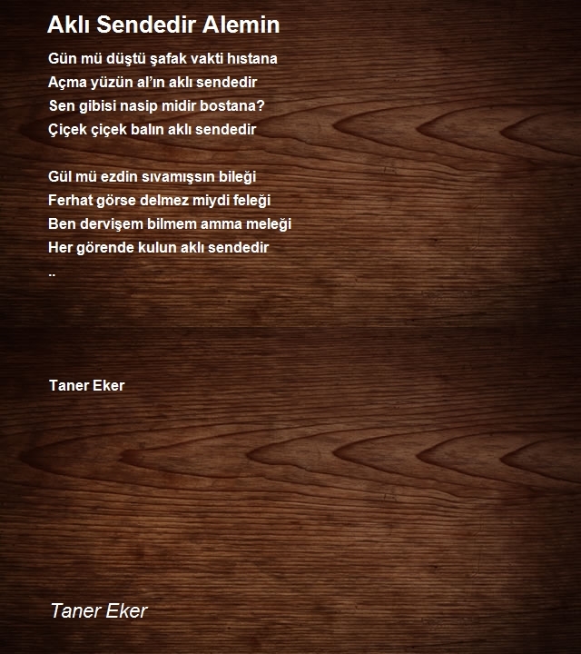 Taner Eker