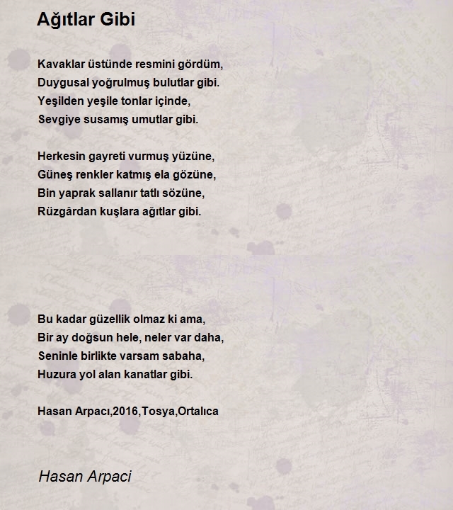 Hasan Arpaci