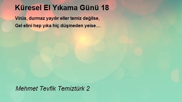 Mehmet Tevfik Temiztürk 2