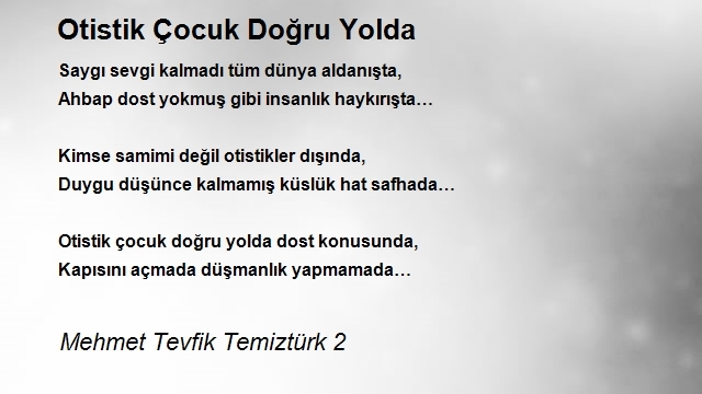 Mehmet Tevfik Temiztürk 2