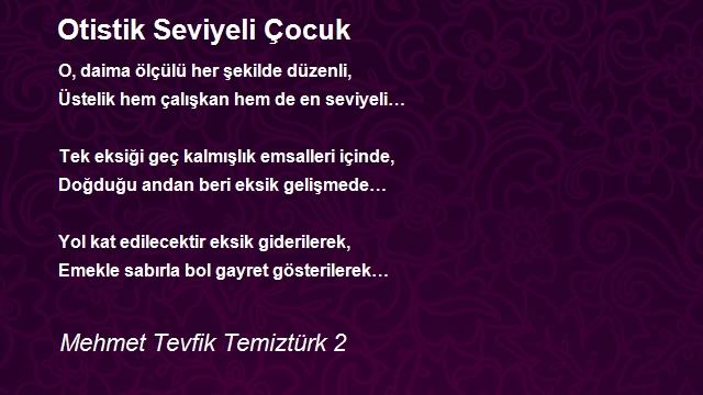 Mehmet Tevfik Temiztürk 2