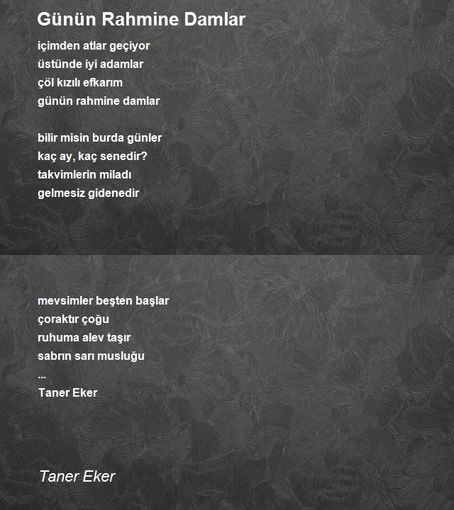 Taner Eker