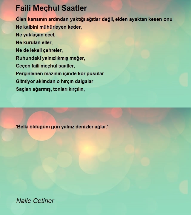 Naile Cetiner