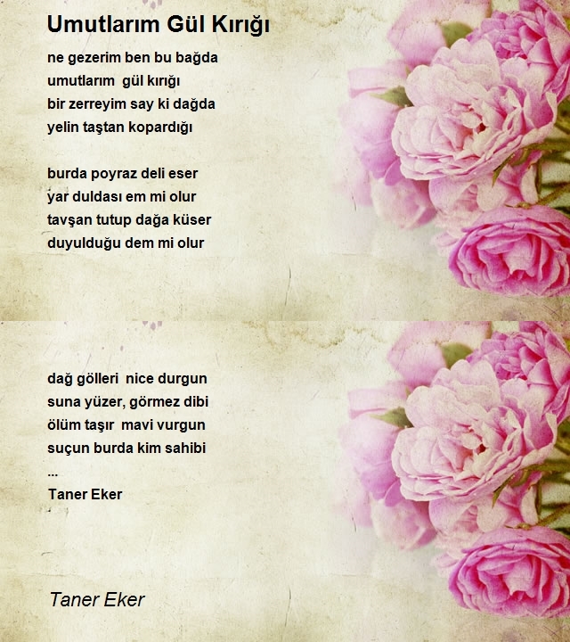 Taner Eker