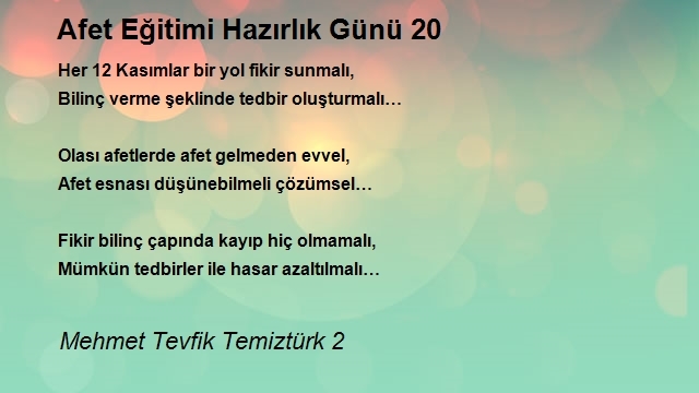 Mehmet Tevfik Temiztürk 2