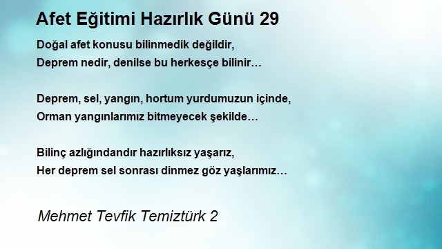 Mehmet Tevfik Temiztürk 2