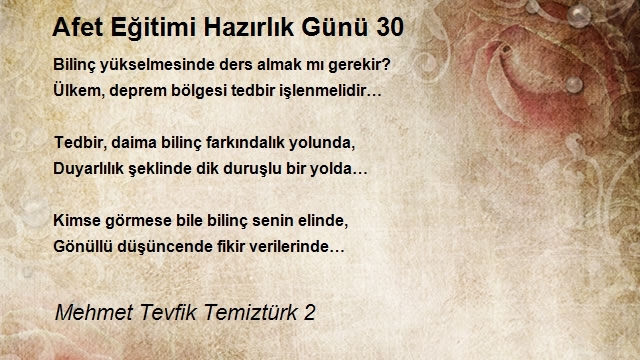 Mehmet Tevfik Temiztürk 2