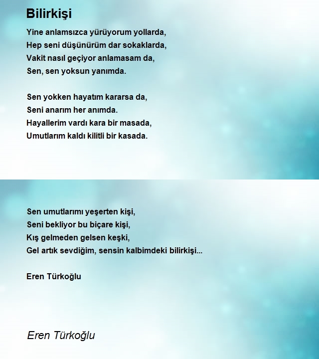 Eren Türkoğlu