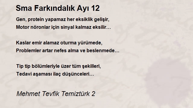 Mehmet Tevfik Temiztürk 2