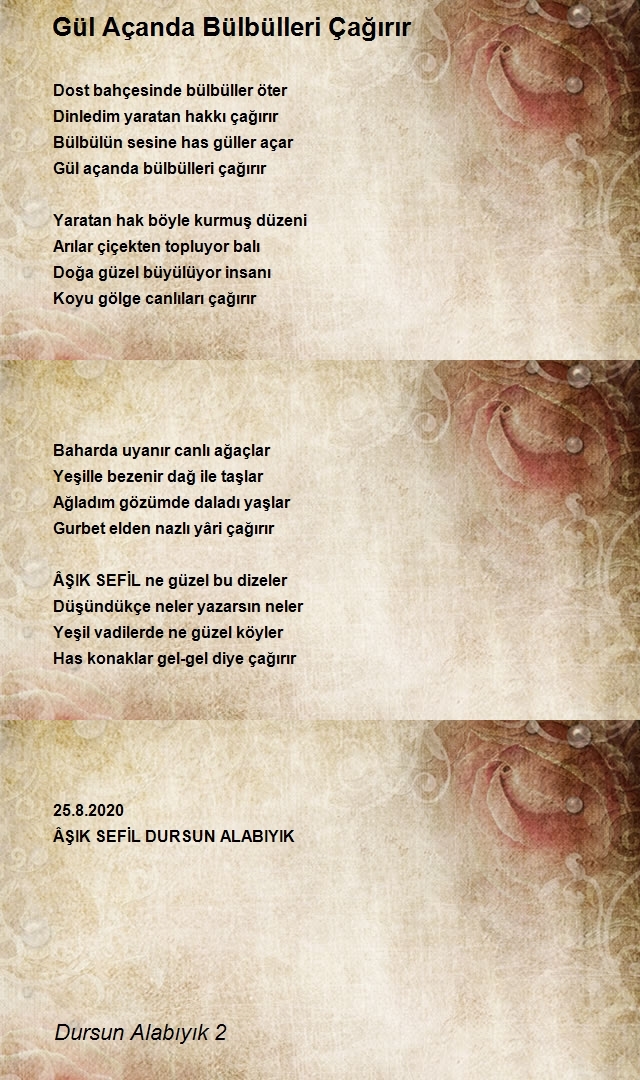 Dursun Alabıyık 2