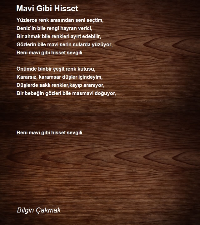 Bilgin Çakmak