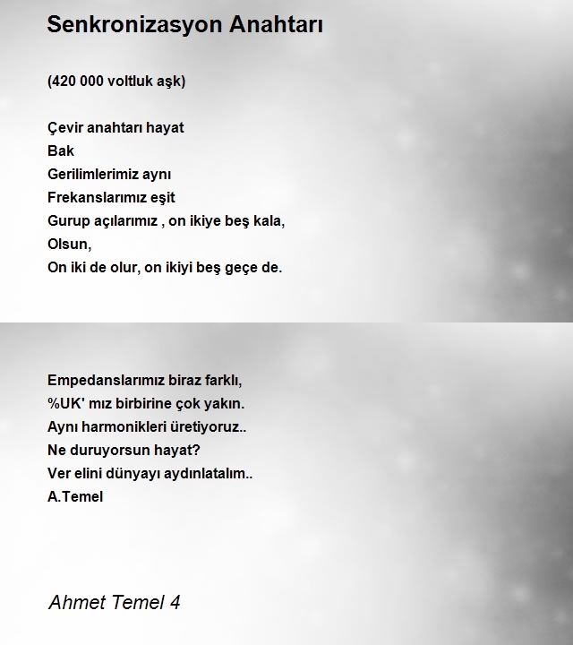 Ahmet Temel 4