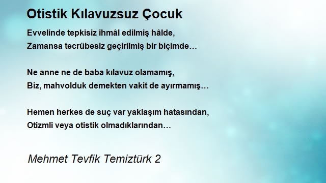 Mehmet Tevfik Temiztürk 2