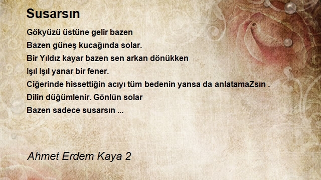 Ahmet Erdem Kaya 2