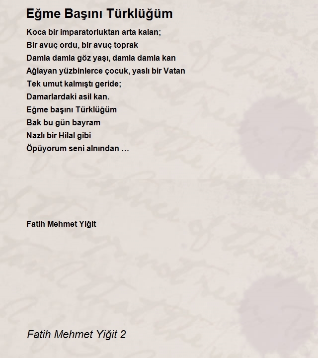 Fatih Mehmet Yiğit 2