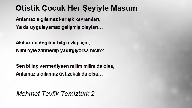 Mehmet Tevfik Temiztürk 2