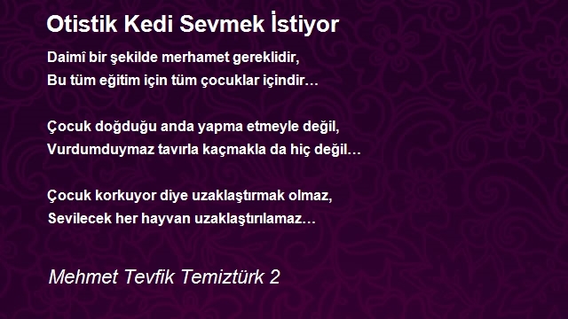 Mehmet Tevfik Temiztürk 2