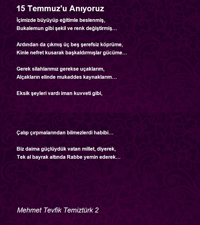 Mehmet Tevfik Temiztürk 2