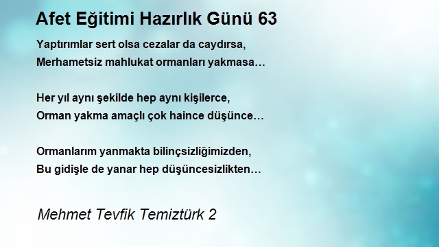 Mehmet Tevfik Temiztürk 2