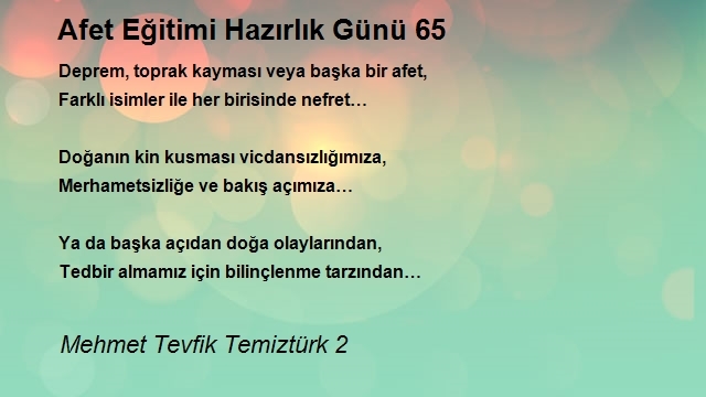 Mehmet Tevfik Temiztürk 2