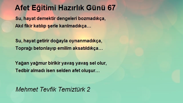 Mehmet Tevfik Temiztürk 2