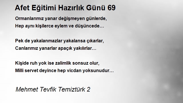 Mehmet Tevfik Temiztürk 2