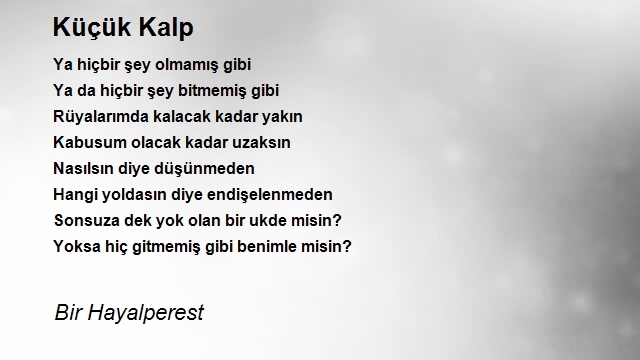 Bir Hayalperest