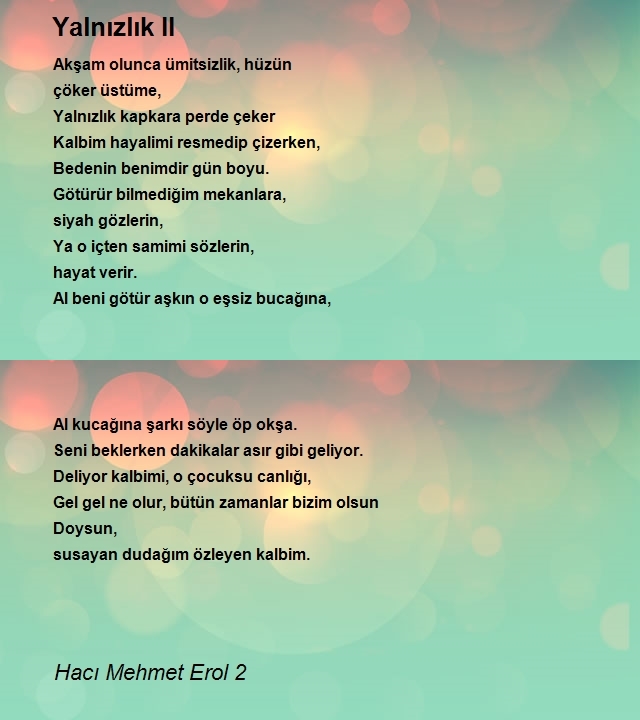 Hacı Mehmet Erol 2