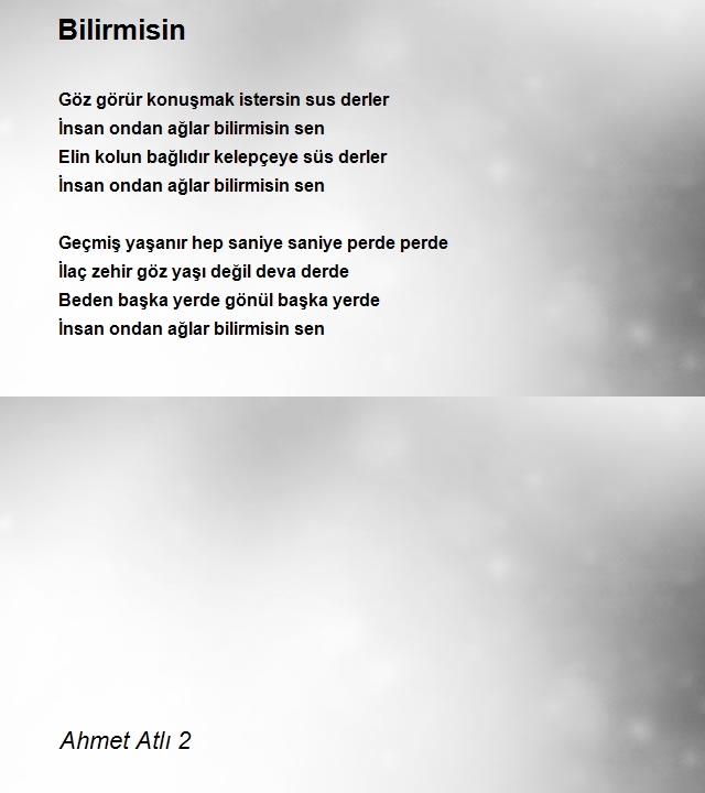 Ahmet Atlı 2