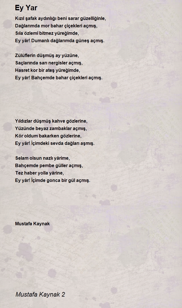 Mustafa Kaynak 2