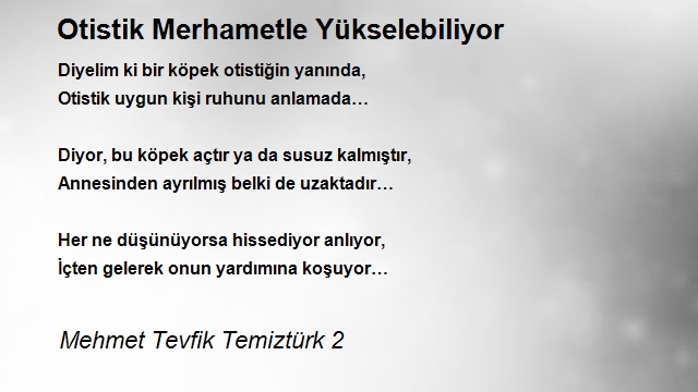 Mehmet Tevfik Temiztürk 2