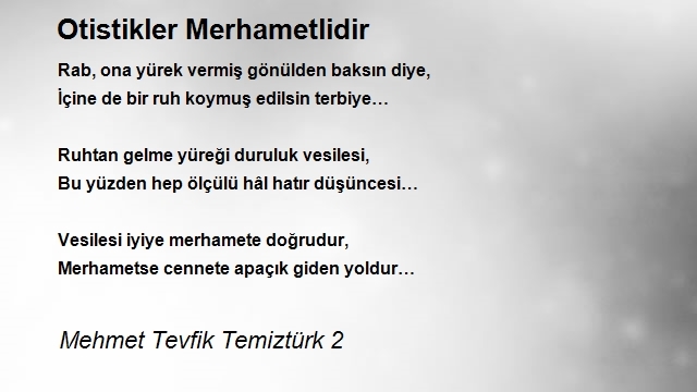 Mehmet Tevfik Temiztürk 2