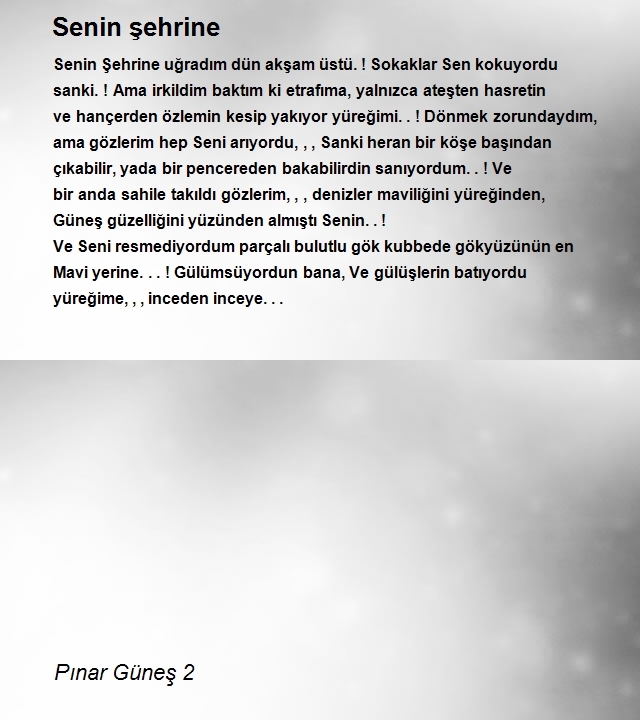 Pınar Güneş 2