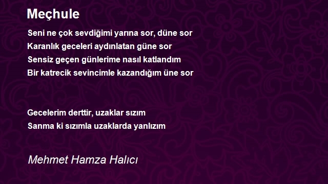 Mehmet Hamza Halıcı