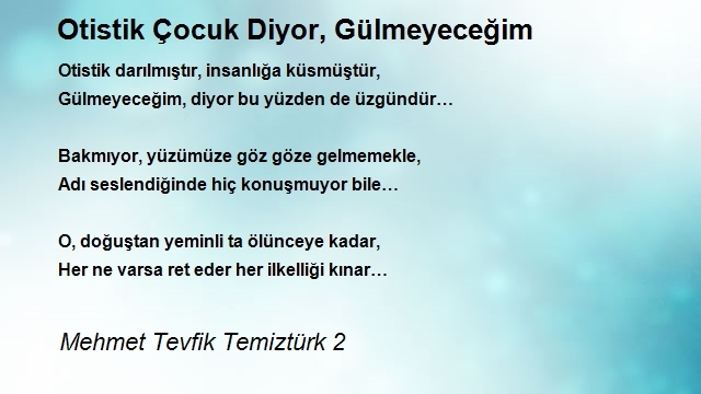 Mehmet Tevfik Temiztürk 2