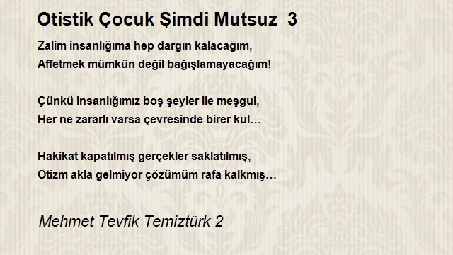 Mehmet Tevfik Temiztürk 2